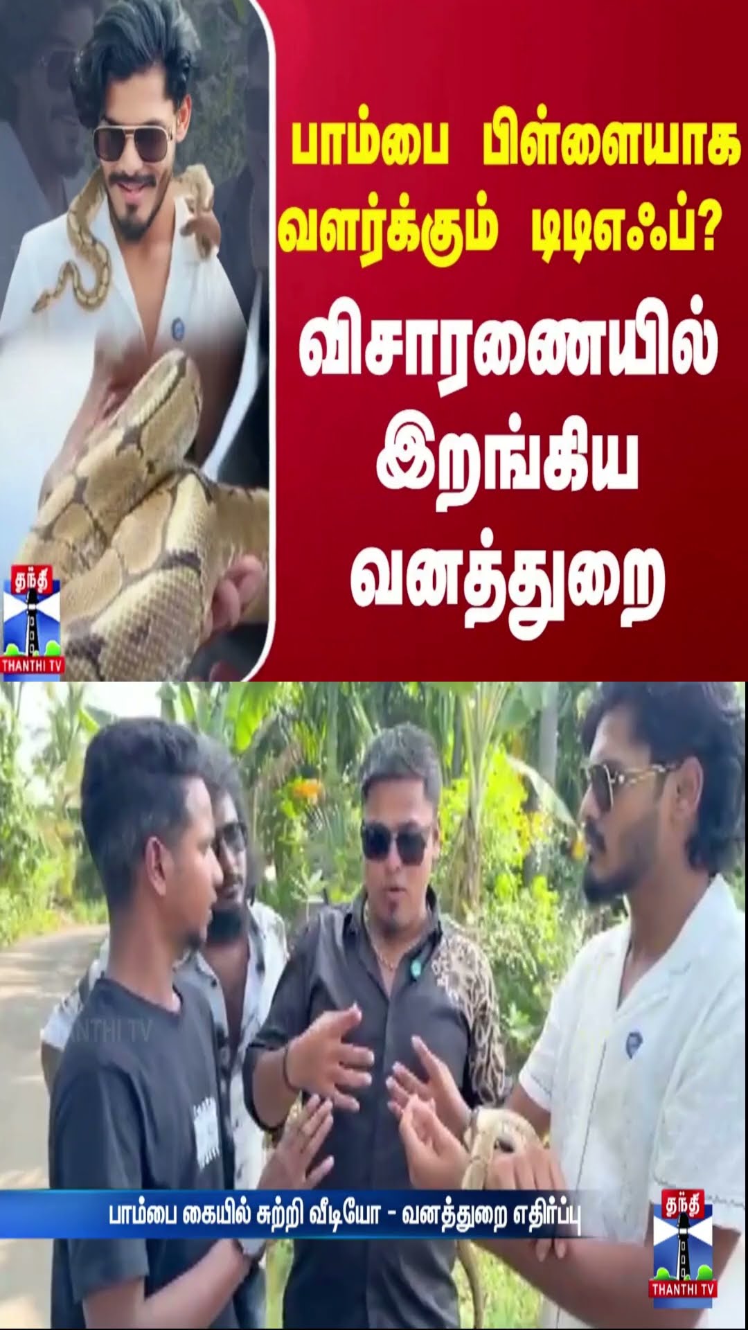 பாம்பை பிள்ளையாக வளர்க்கும் டிடிஎஃப்? விசாரணையில் இறங்கிய வனத்துறை | TTF