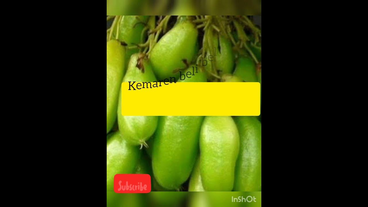 Cara Mengawetkan belimbing wuluh.ala umi kharisma