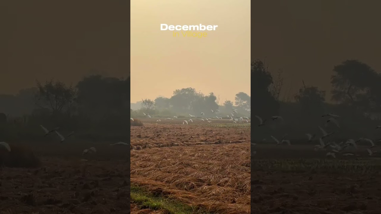 Gaon ka khubsurat najara (village) by 