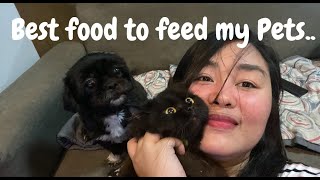 Healthy Dog/Cat Food on a budget | What is Best To Feed Your Cat? Plus Nano Silver by Castro Lanie Etc 3,708 views 3 years ago 12 minutes, 26 seconds