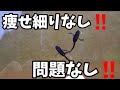 やせ細り無し‼️10年に一度の大寒波前にメダカの様子をチェックします‼️【2ヵ月餌やり無し】安らぎAQUAちゃんねる