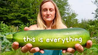 The financial power of a humble zucchini - my chapter of "less".