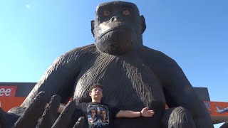 Processo - Cigarro Mata (CLIPE)