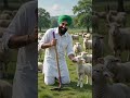 #agri #agriculture #ai #aivideo #anime #dairy #dairyfarm #livestockfarming #livestock #cattle #shed