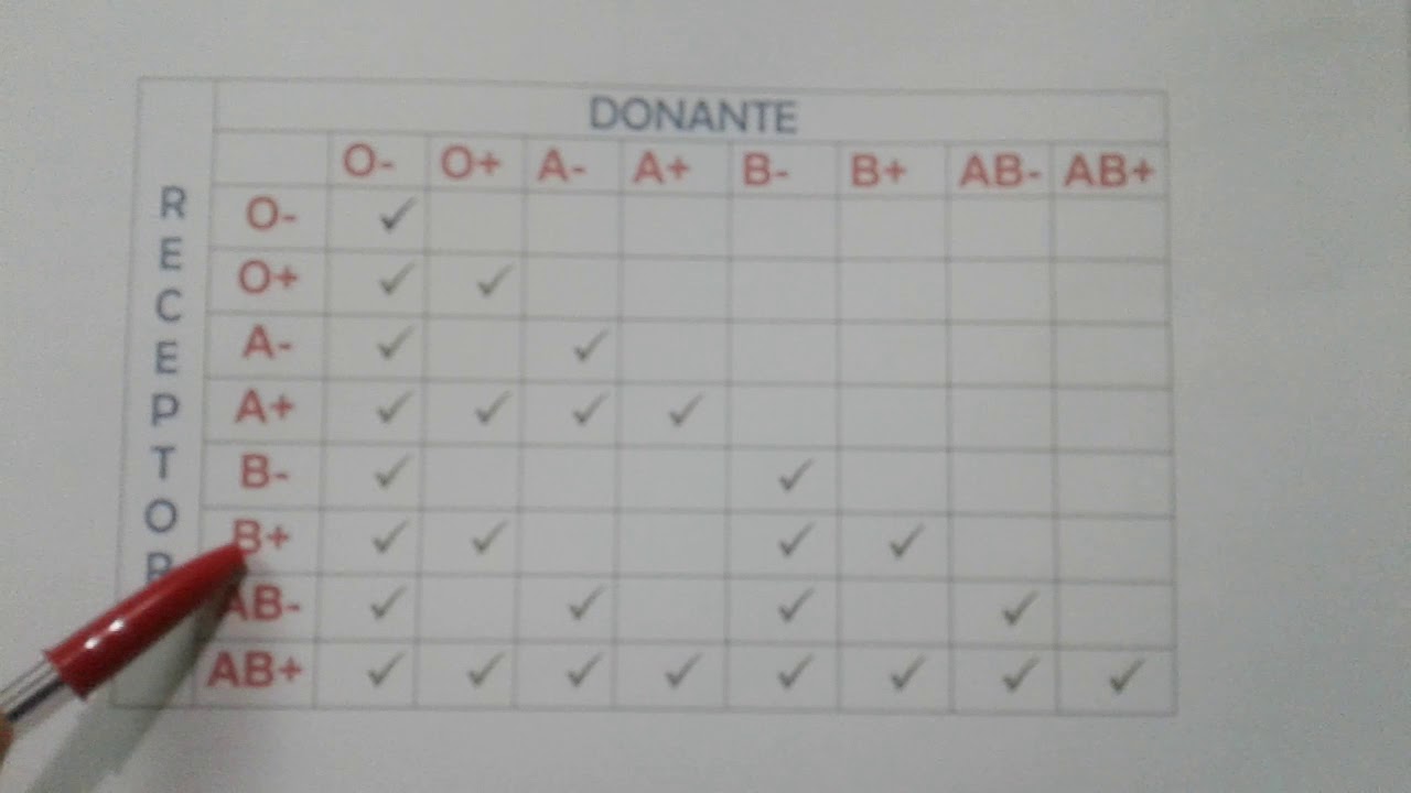 quien le puede donar a o+ quien le puede donar a o+