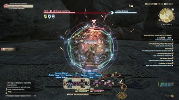 SMN LvL70 Striking Dummy