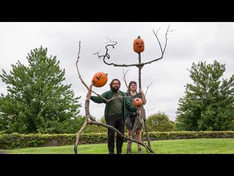 Scarecrows