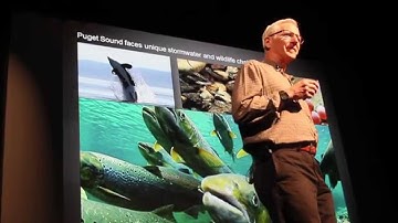 Low Impact Development Strategies - SustainabilityTALKS