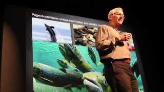 Low Impact Development Strategies - SustainabilityTALKS