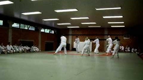 Exam karate 2007 winter.wmv