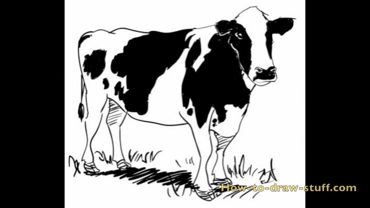 25 Ilustration How to draw cow sketch for Windows PC