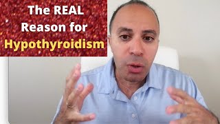 The REAL Reason for Hypothyroidism - Symptoms, Causes & Treatment screenshot 5
