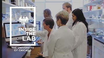 Inside the Lab: A first-hand look at University of Chicago research