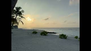The beach at dawn Saii lagoon Maldives