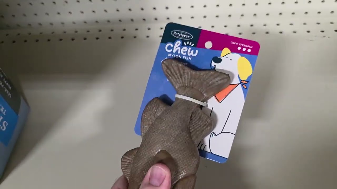 Welcome to 2026. Would you let your dog chew this?