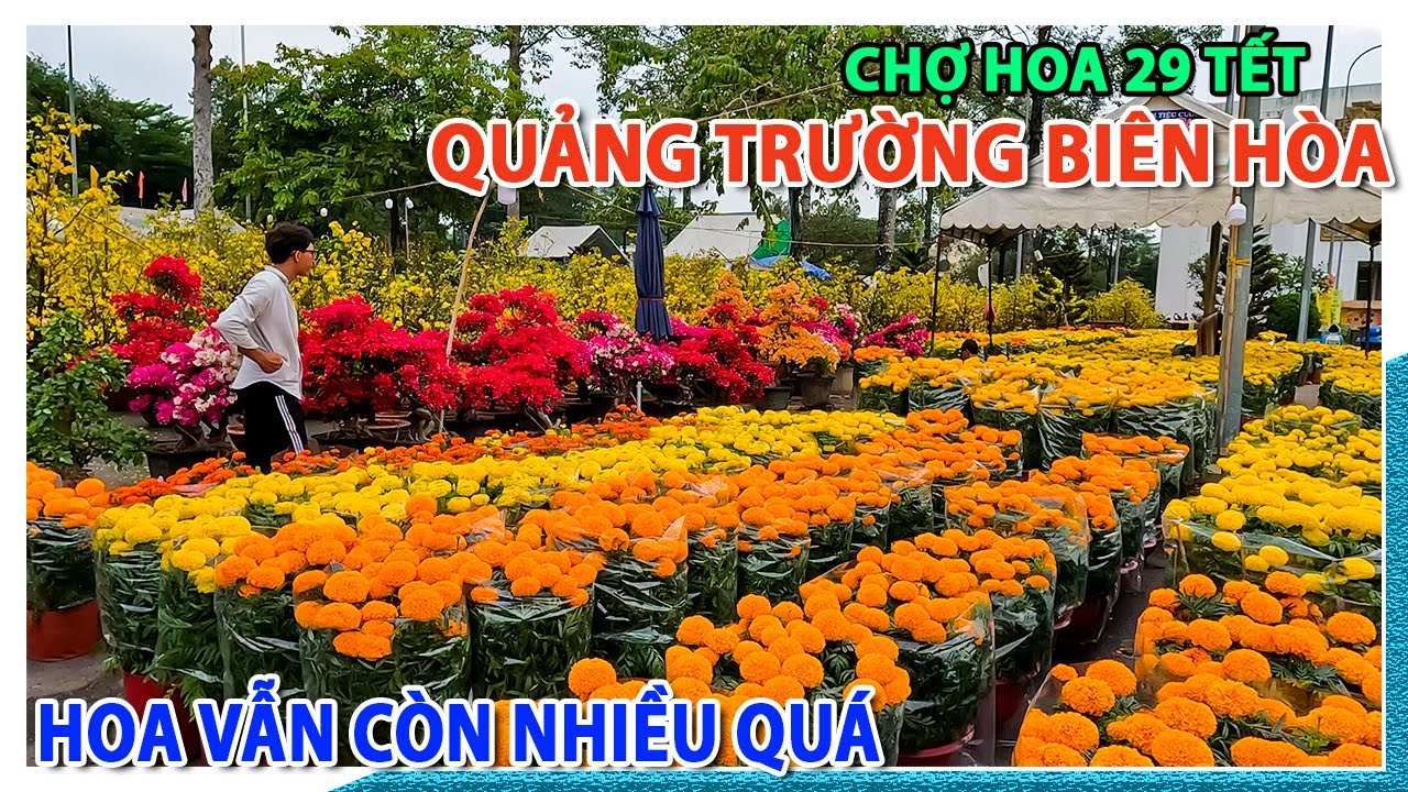 TÌNH HÌNH CHỢ HOA QUẢNG TRƯỜNG BIÊN HÒA 29 TẾT GIÁP THÌN 2024