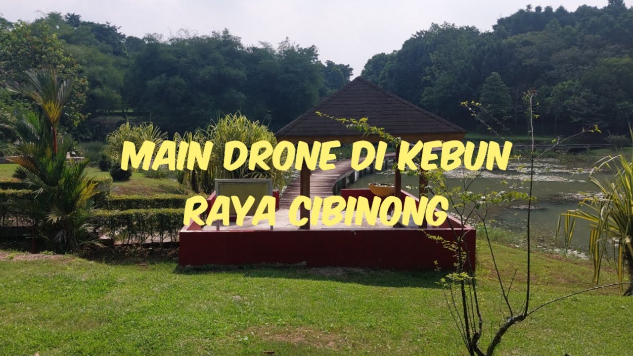 MAIN DRONE DI KEBUN RAYA CIBINONG - YouTube