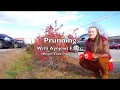 Pruning With Aynjewl Faycc