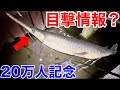 20万人記念!!ガサガサしながらみんなで祝おう!