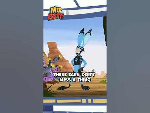 Activate Bunny Powers! | Jackrabbit vs Snowshoe Hare| Wild Kratts - YouTube