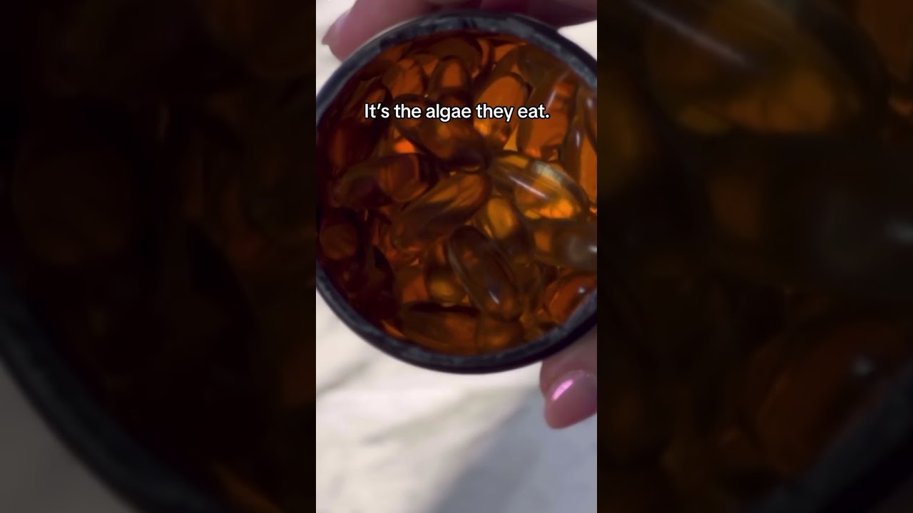 Vital’s Vegan Omega-3 