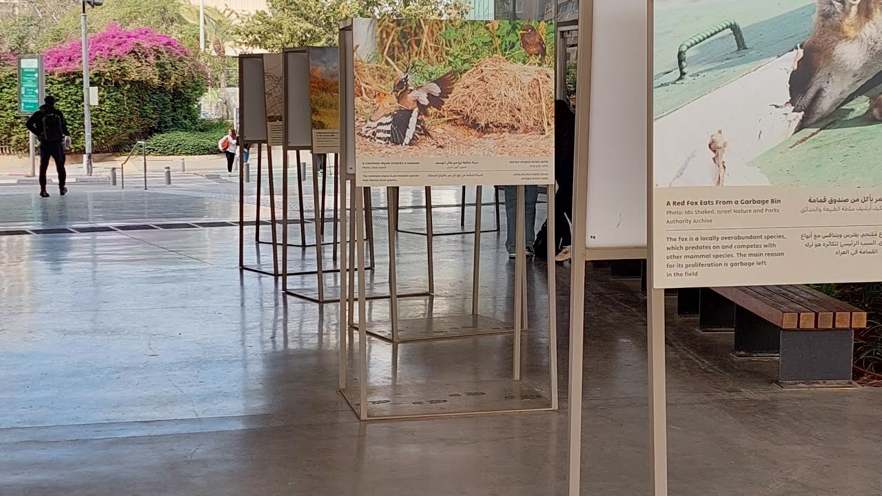 2026.02.23 자연사박물관 3