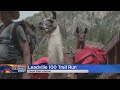 Leadville 100 Ultra Marathon Features Llamas