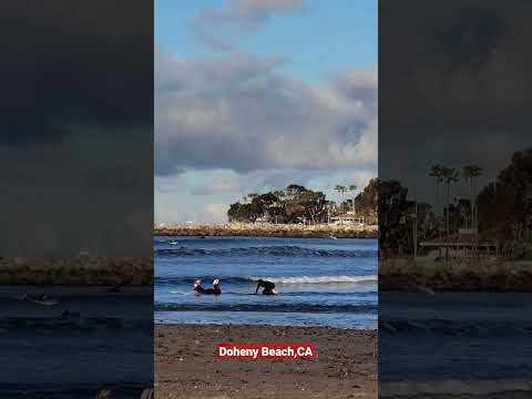 Video: Doheny State Beach Camping - Dana Point CA'da Okyanus Kıyısı