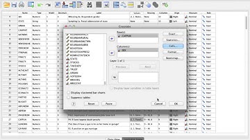 SPSS - Generating a Crosstab & Chi Square