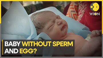 Baby without sperm and egg? Scientists create 