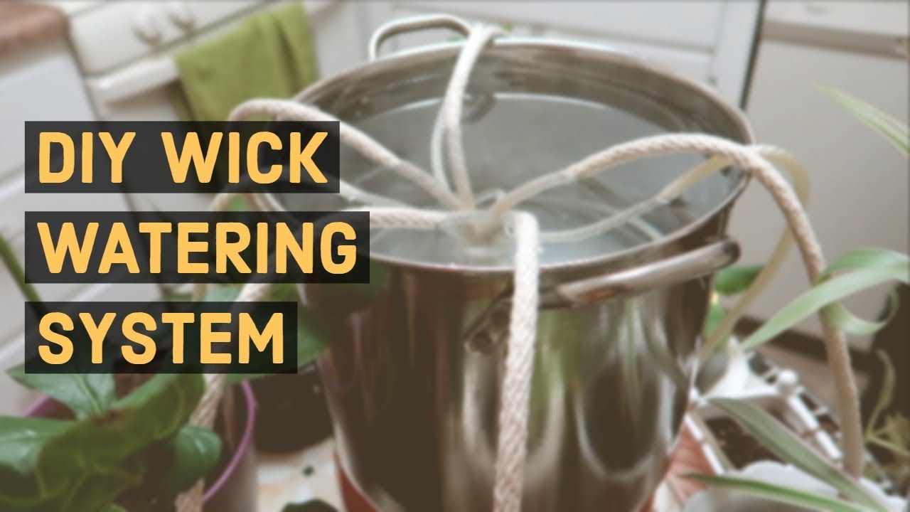 how to keep plants watered while on vacation by wick watering