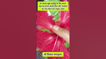 धन संपदा सुख समृद्धि के लिए कांता चक्र का स्मरण करके शिव और नारायण का नाम से करें उपाय#pradeepmishra