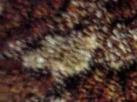 beanie-babies-2-0-funny