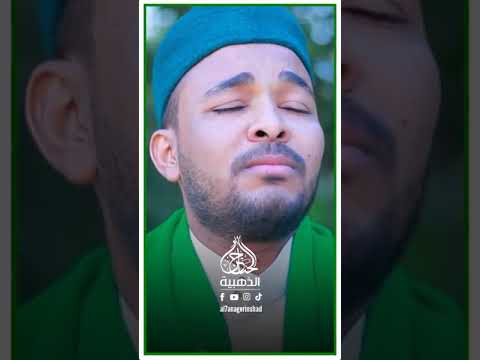 يازائرين سيدنا النبي مداح الصعيد أحمد الانصاري كلمات الشاعر وليد عباس اناشيد