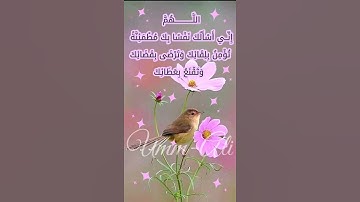 سورة قريش بصوت أحمد سعود