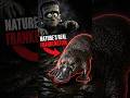 This Animal Should Not Exist