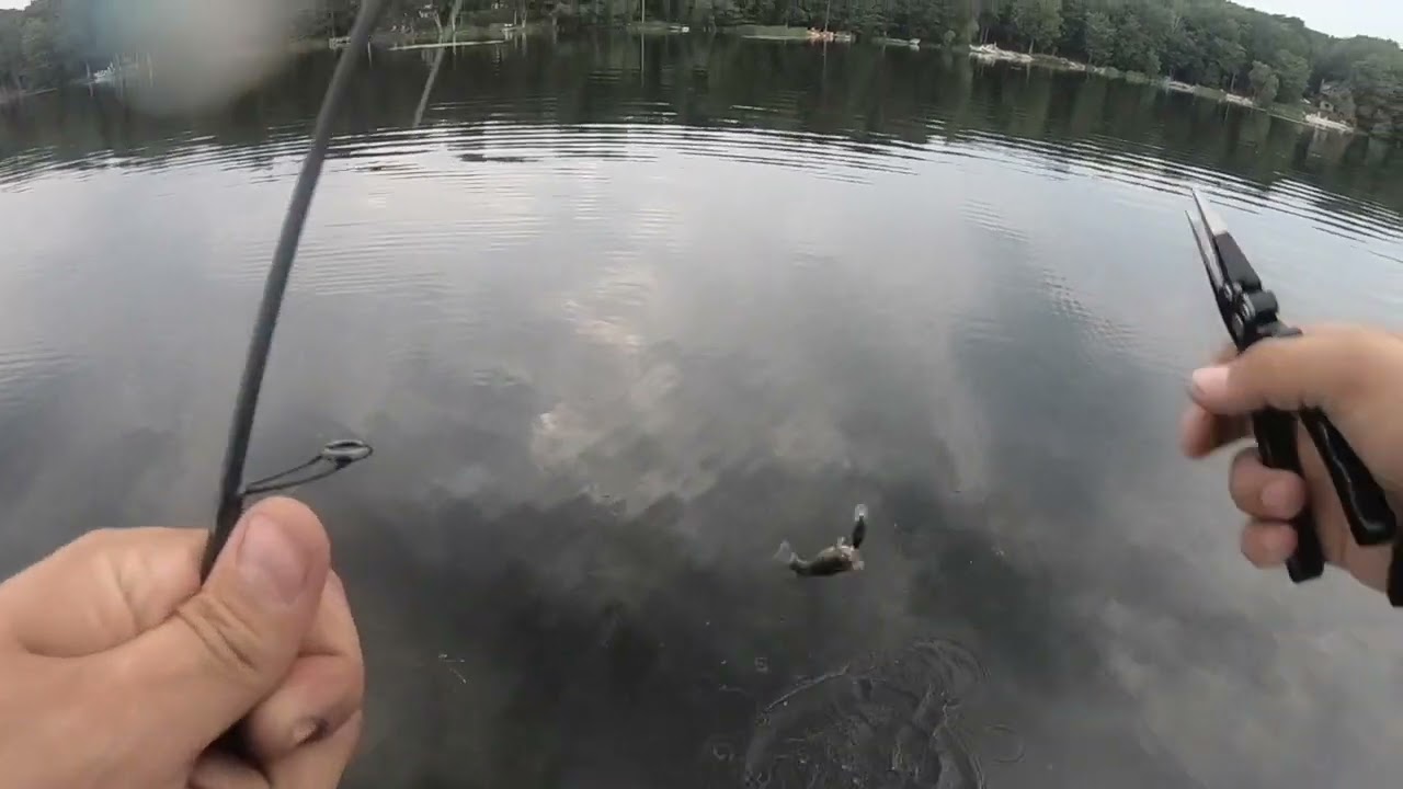BIG BASS LAKE trip 2.