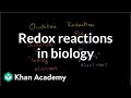 Oxidation and reduction review from biological point-of-view | Biomolecules | MCAT | Khan Academy