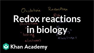 Oxidation and Reduction Review From Biological Point-of-View