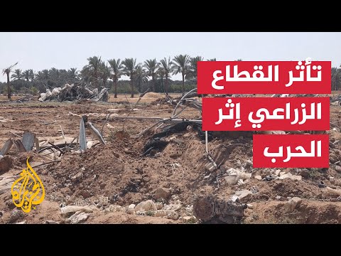 كيف أثرت الحرب على القطاع الزراعي بقطاع غزة؟