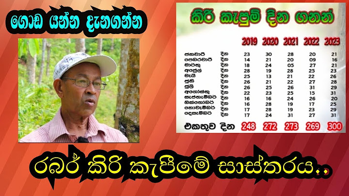 රබර් වගාවට වැසි ආවරණ / පොලිතින් සවි කලාම මොකද වෙන්නේ ? When rain guards are fixed on rubber trees