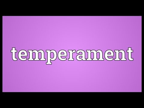 Temperament Meaning