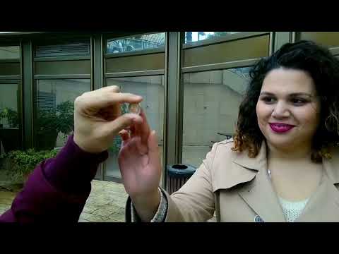 רן גפנר שואוריל 2023