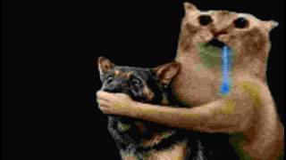 Drooling Cat vs Dog (S̻̈͌Į̮̌M̈́͜͜Ư̑͒L̟̗̘A̘̐͗T̙̐́I̝͛̀Ơ̩͐N̨̽́) screenshot 5