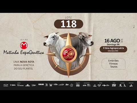LOTE 118 RDM B2998