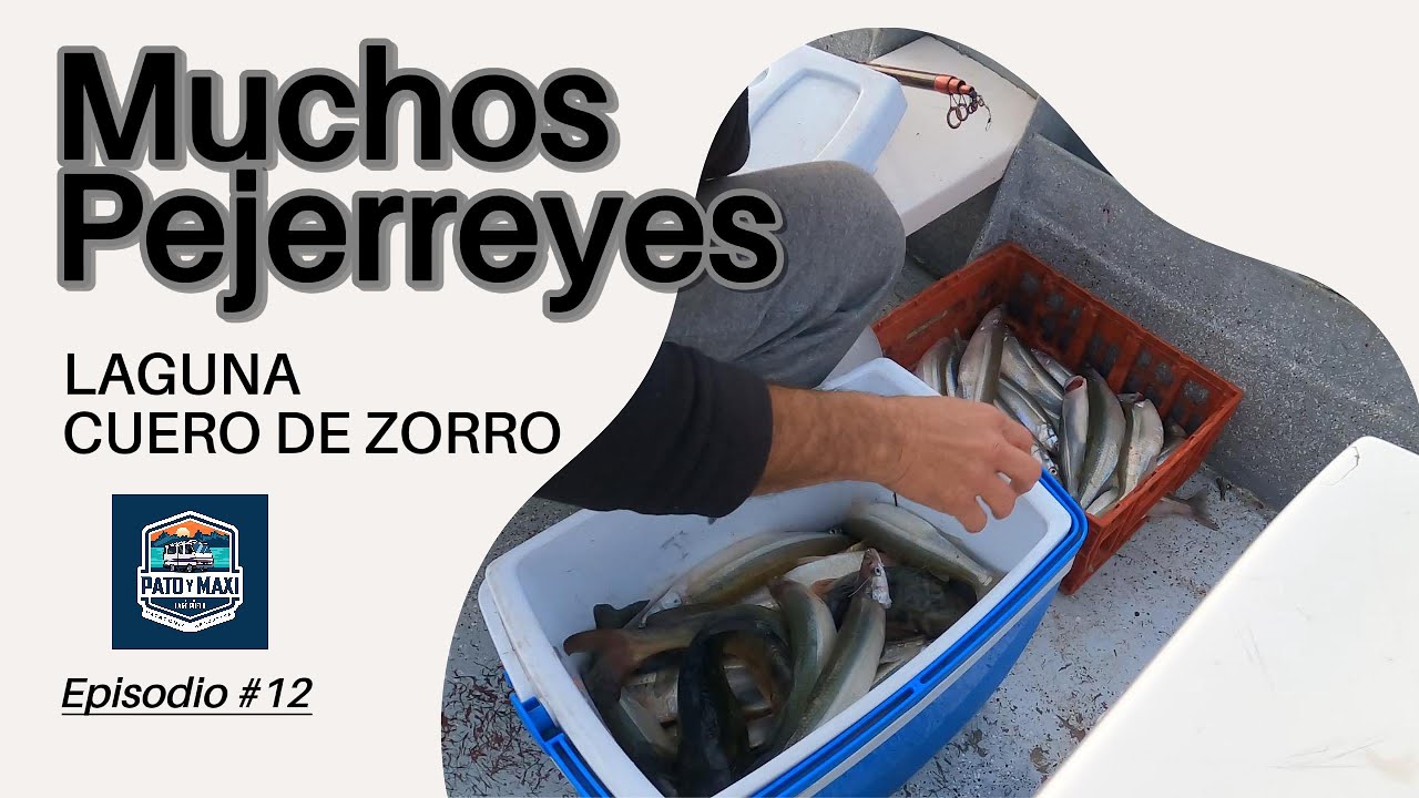 Laguna Cuero de Zorro. Increíble pesca de pejerreyes #desdelagopuelo #patoymaxi #pescadeportiva