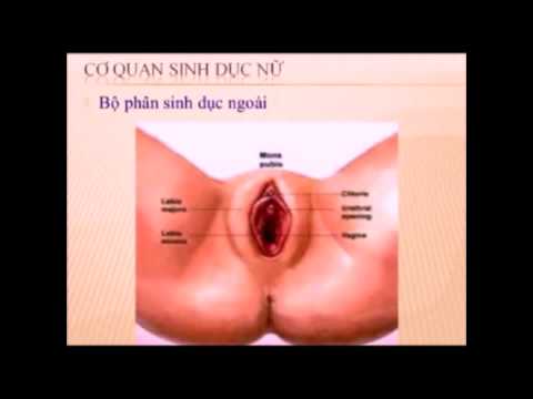 ycantho Update New Khám phụ khoa k28 y cần thơ