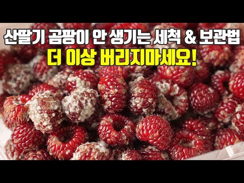 raspberries everything what you need to know(purchase tips, washing, effects, keep,eat)