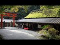 まだ知られてない京都。嵯峨のつたやと竹道の旅。