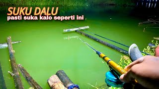 PEMANCING MALAM PASTI BETAH KALAU IKAN SEPERTI INI